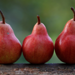 Ithaka Organic pears
